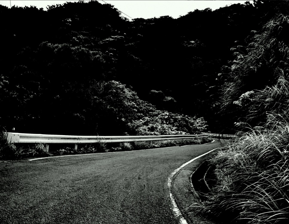 沖縄山道